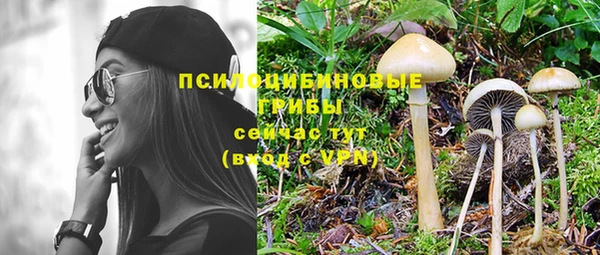 гашик Нефтегорск