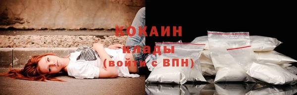 гашик Нефтегорск